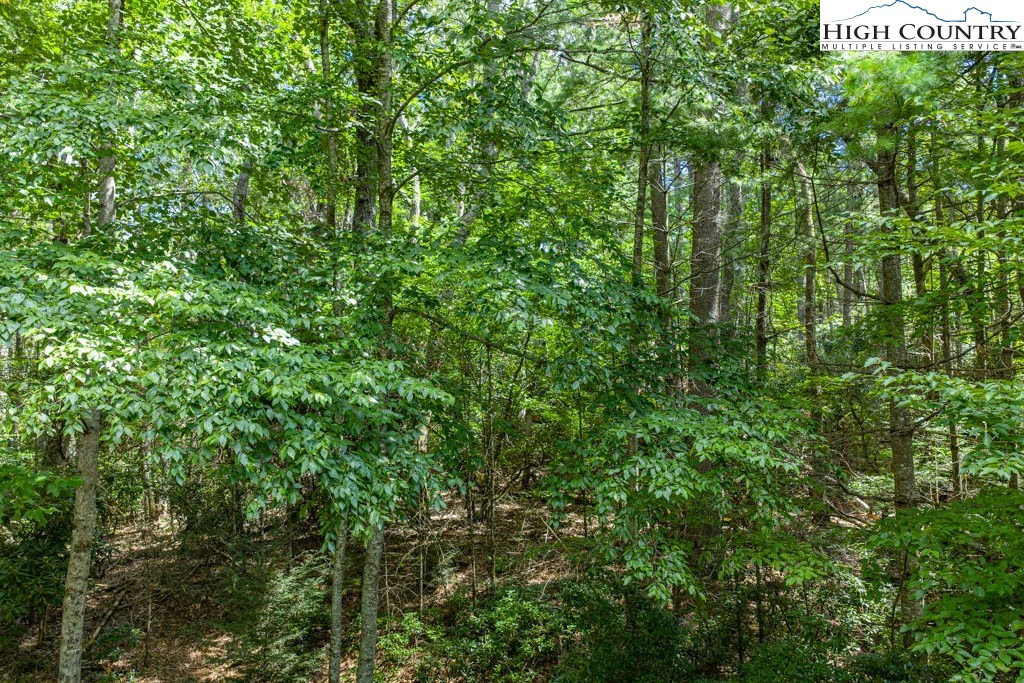 Image number 3 for the current listing