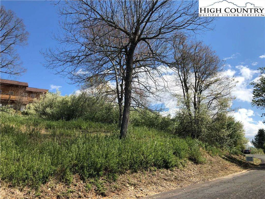 Image number 3 for the current listing