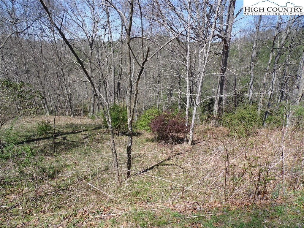 Image number 21 for the current listing