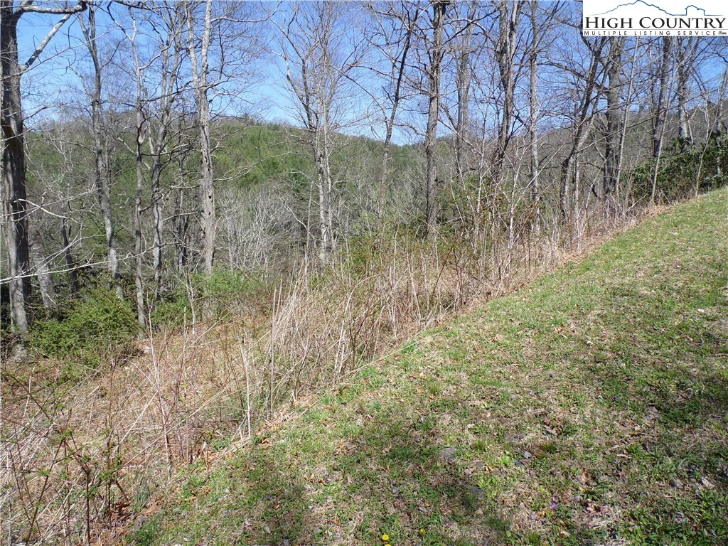 Image number 20 for the current listing