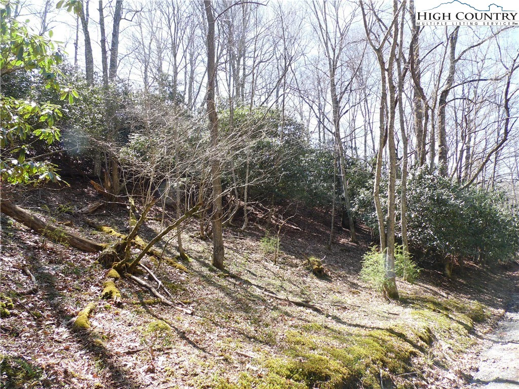 Image number 19 for the current listing