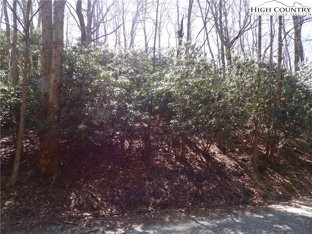 Image number 17 for the current listing