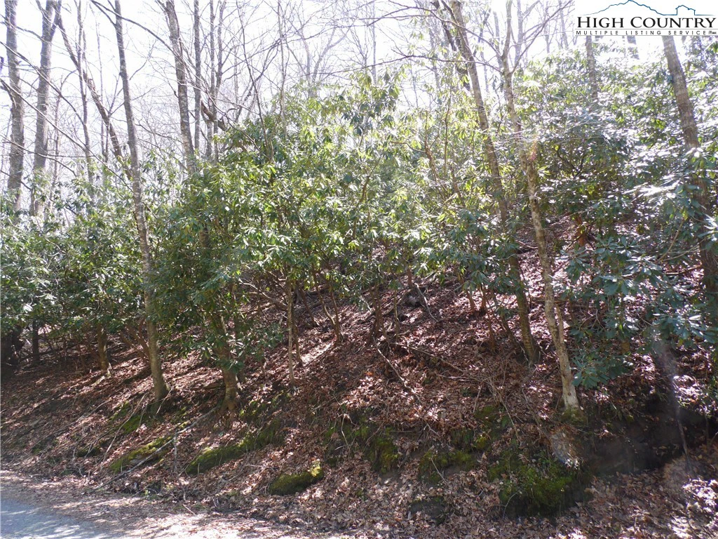 Image number 16 for the current listing
