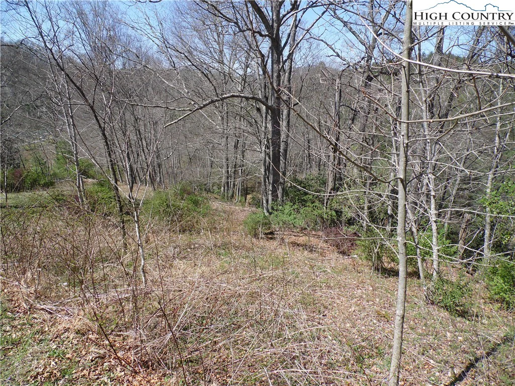 Image number 13 for the current listing