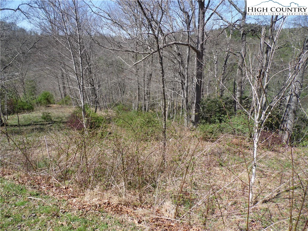 Image number 2 for the current listing