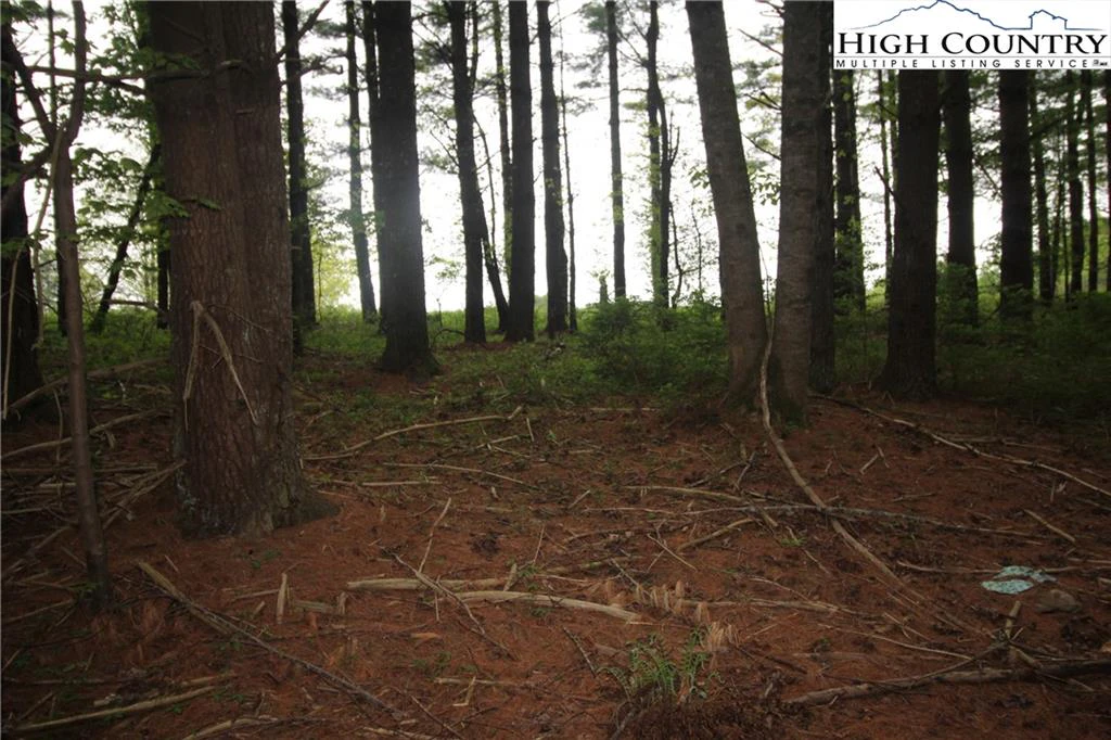 Image number 8 for the current listing