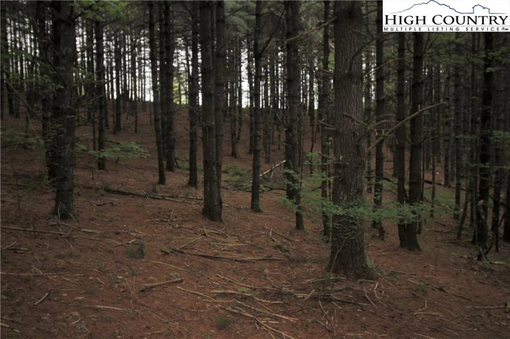 Image number 6 for the current listing