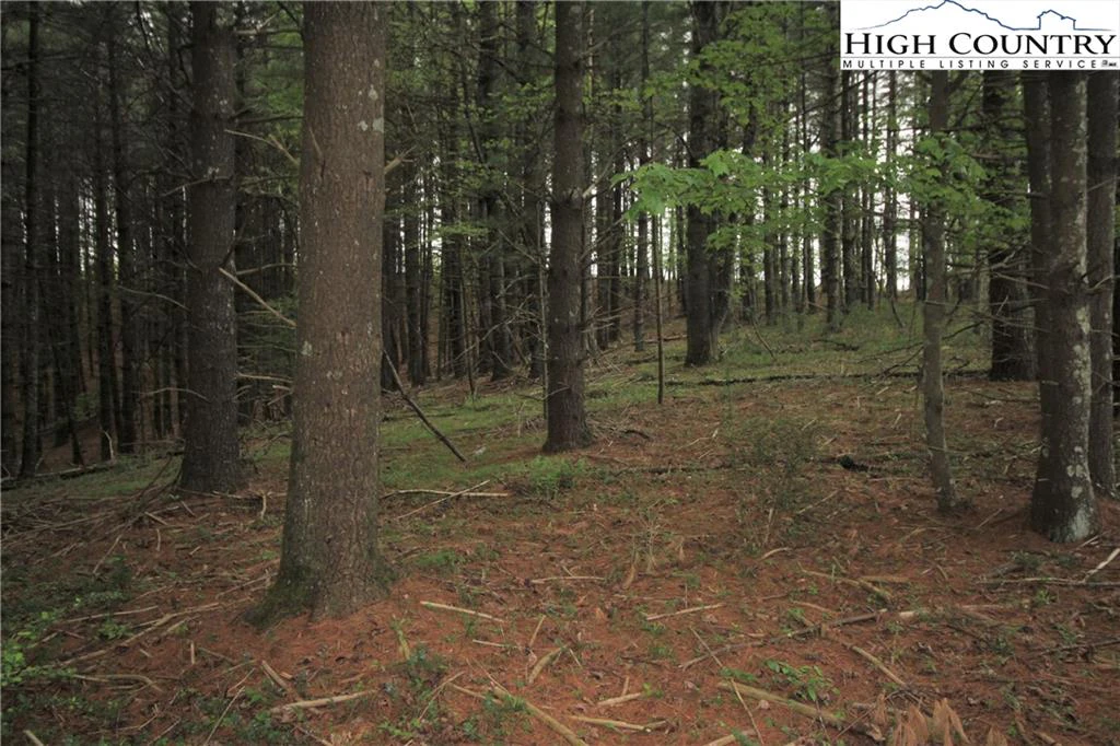 Image number 3 for the current listing