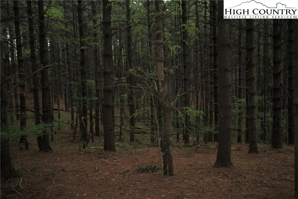 Image number 16 for the current listing