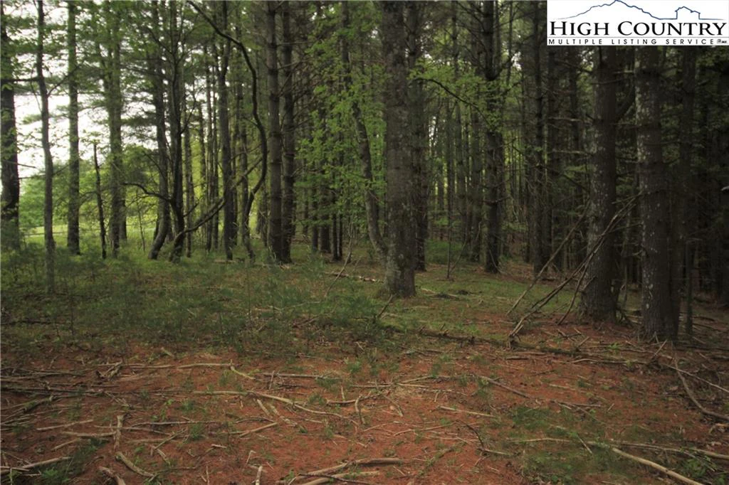 Image number 13 for the current listing