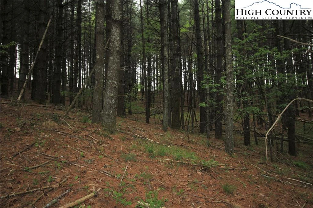 Image number 12 for the current listing