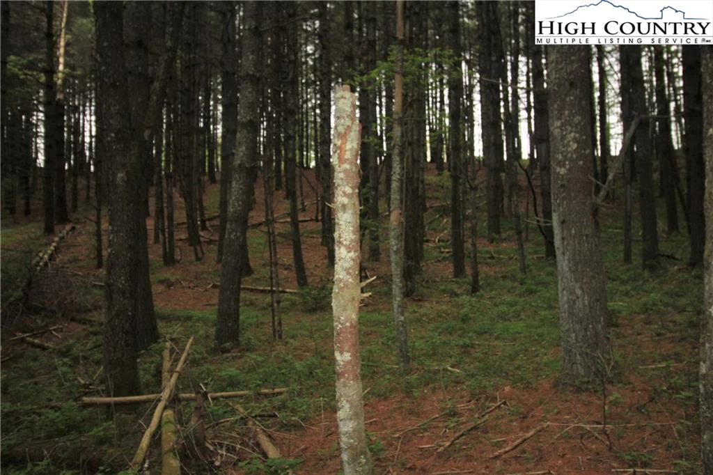 Image number 11 for the current listing