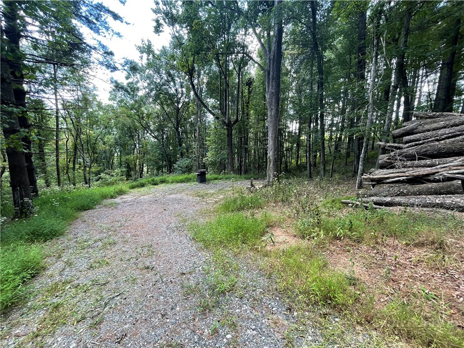 Image number 6 for the current listing