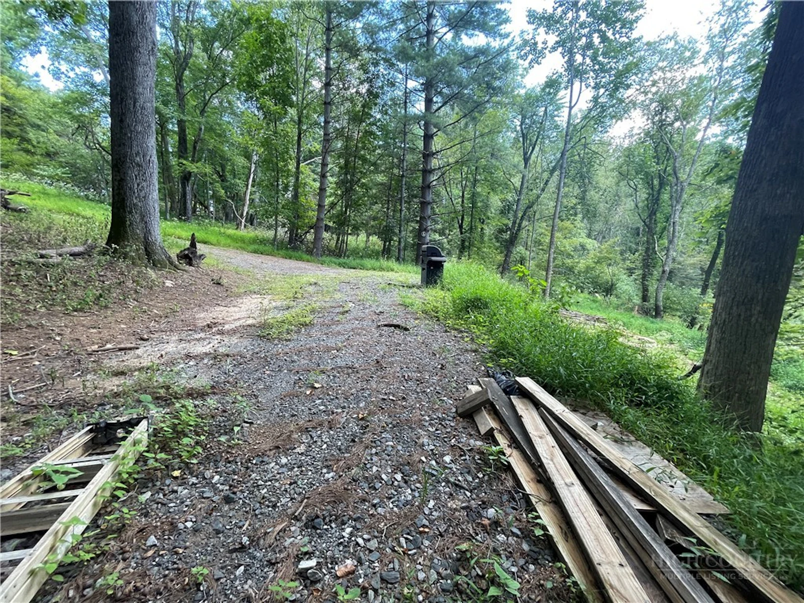 Image number 7 for the current listing