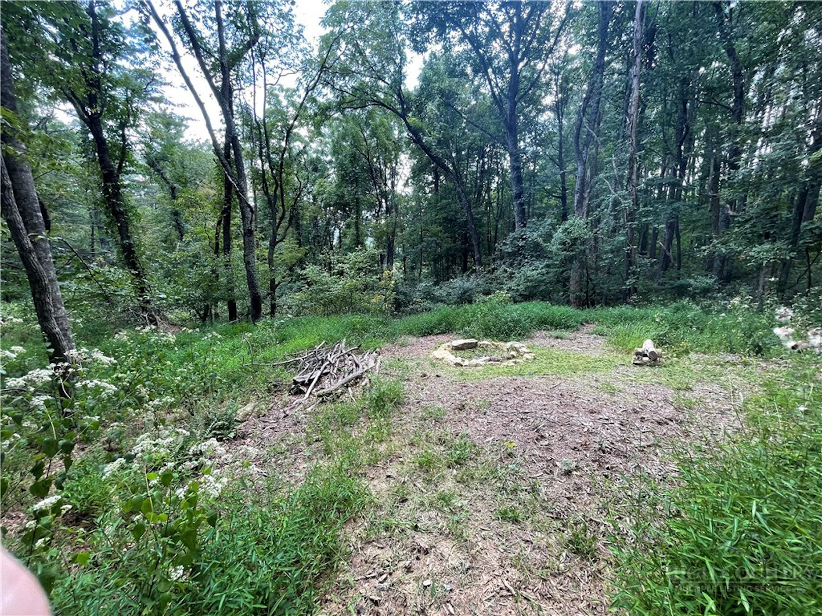 Image number 2 for the current listing