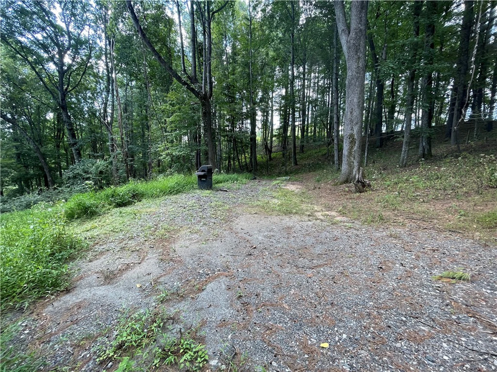 Image number 4 for the current listing