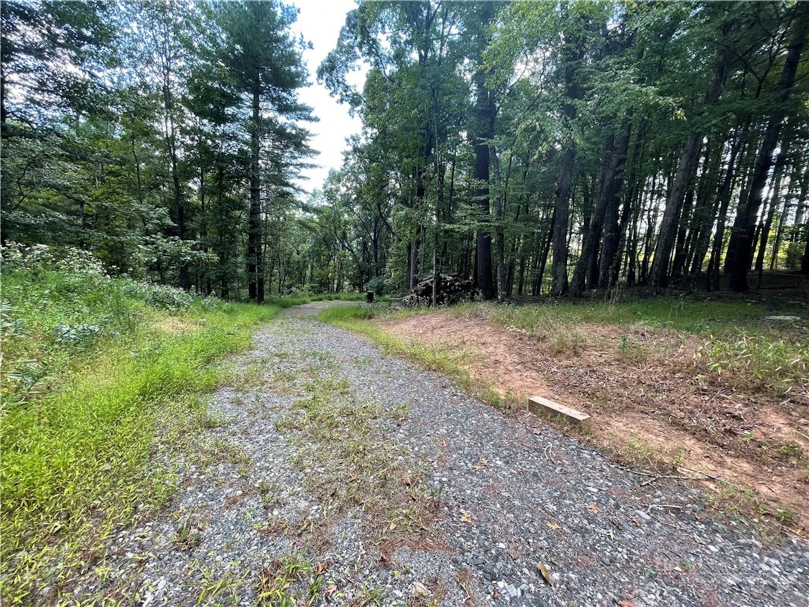 Image number 9 for the current listing