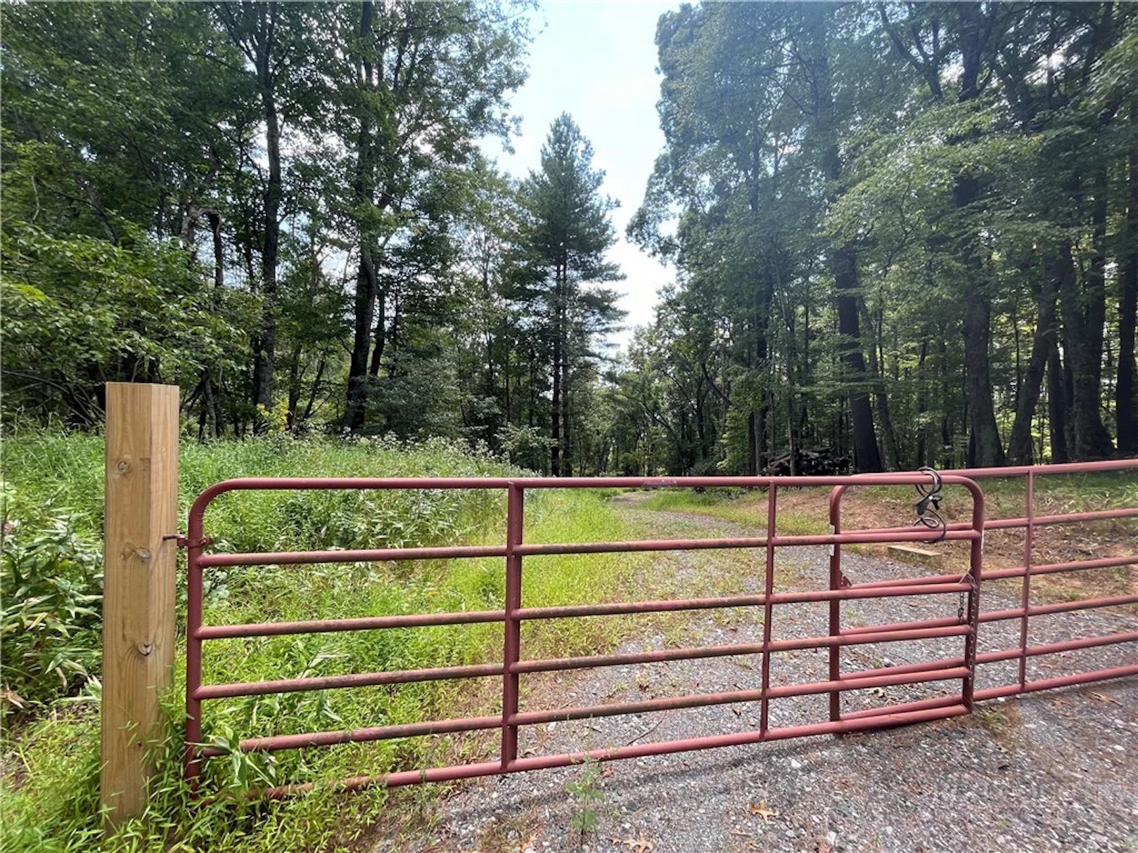 Image number 10 for the current listing