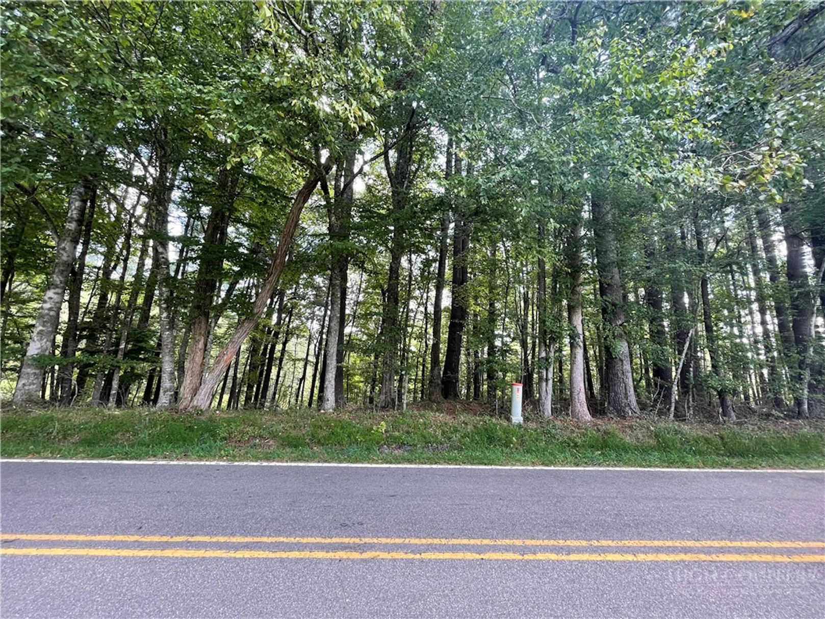 Image number 11 for the current listing