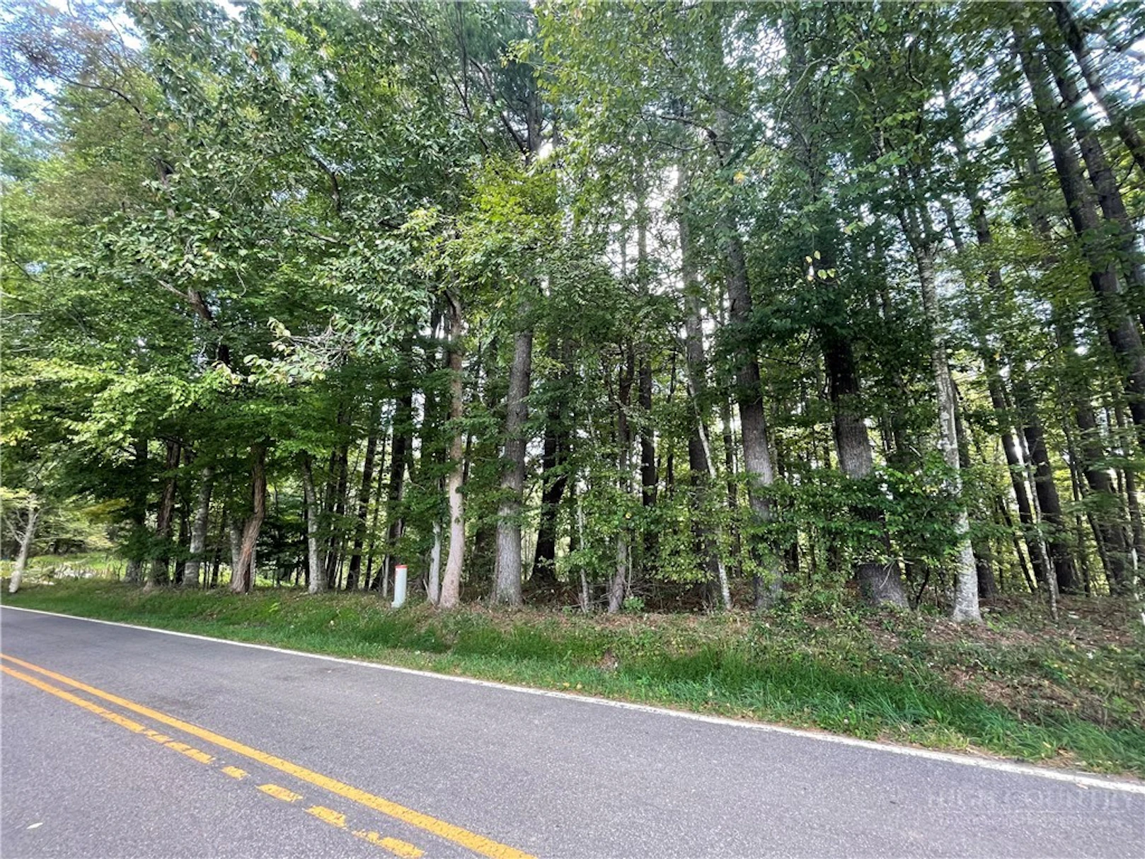 Image number 12 for the current listing
