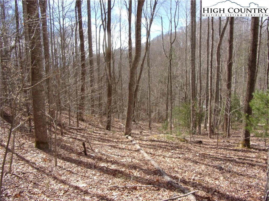 Image number 1 for the current listing
