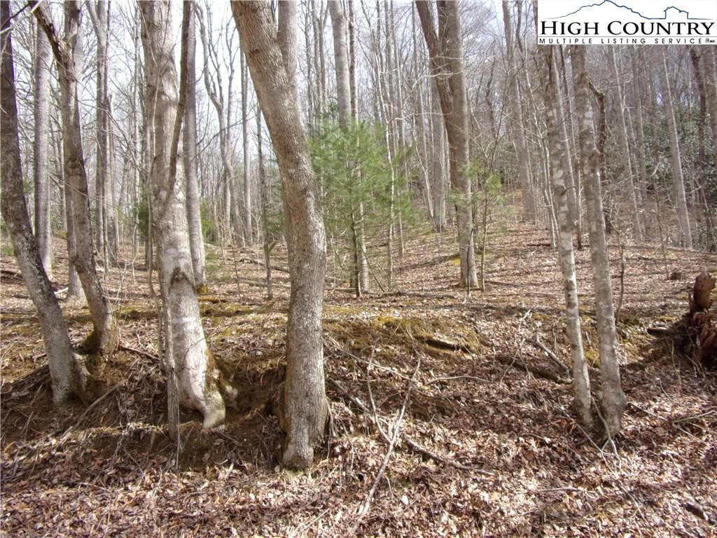 Image number 3 for the current listing
