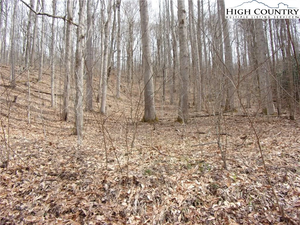 Image number 5 for the current listing