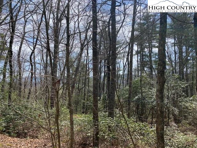 Image number 1 for the current listing