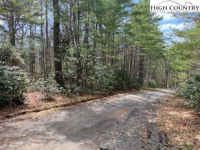 Image number 4 for the current listing