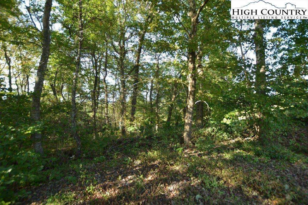 Image number 1 for the current listing