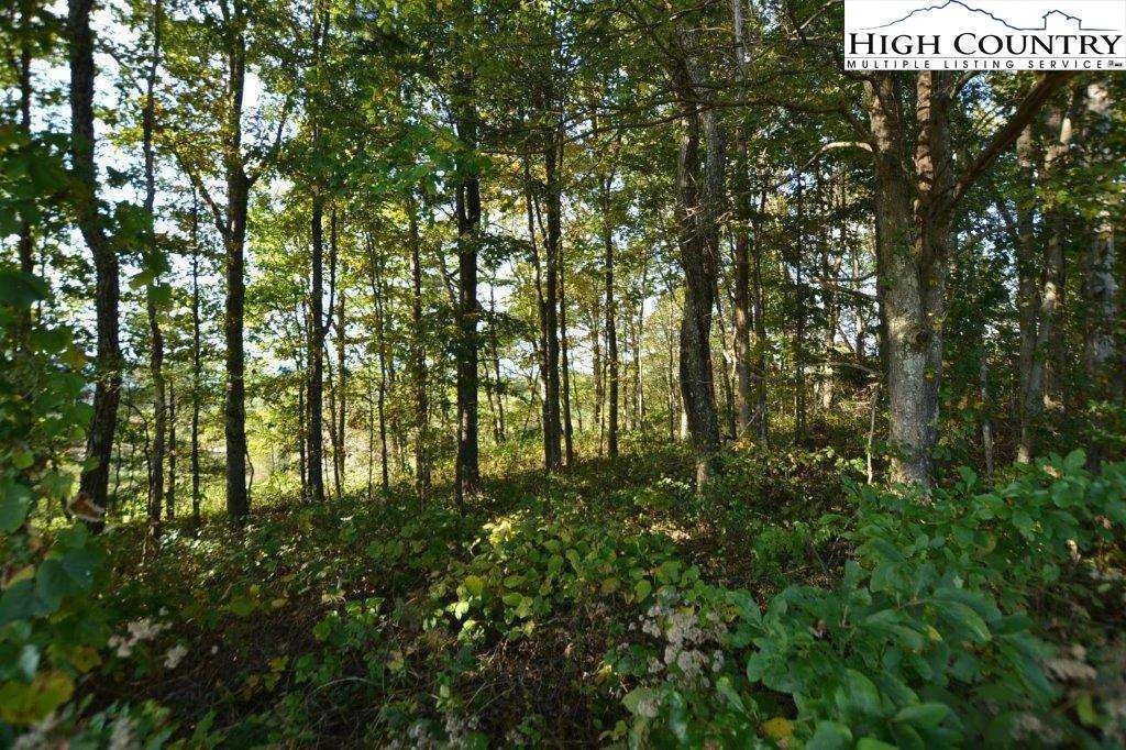 Image number 9 for the current listing