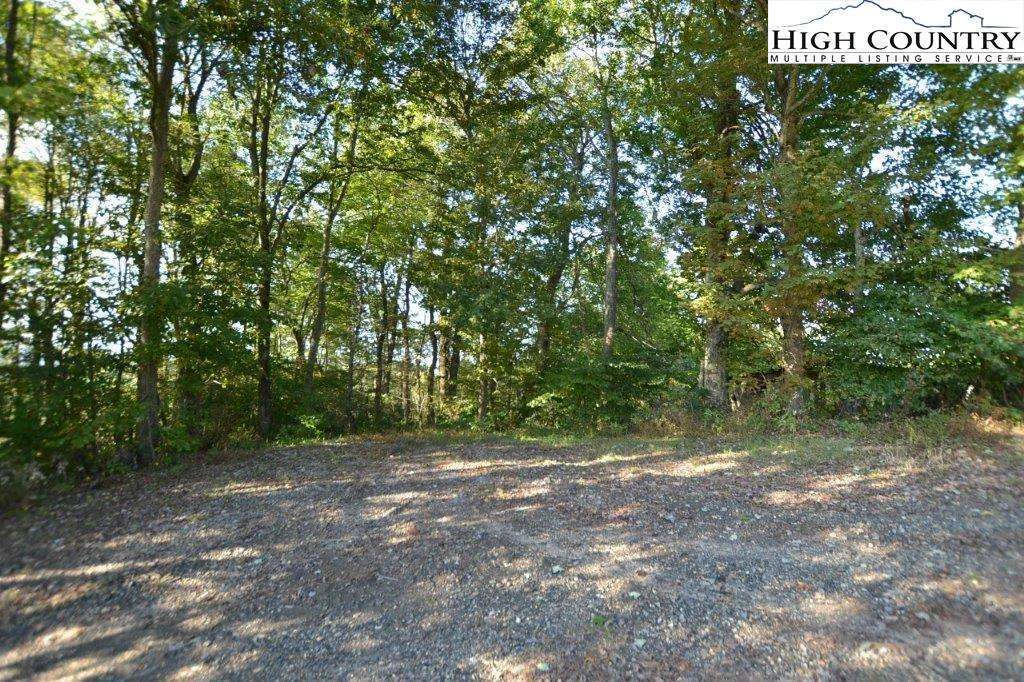Image number 6 for the current listing