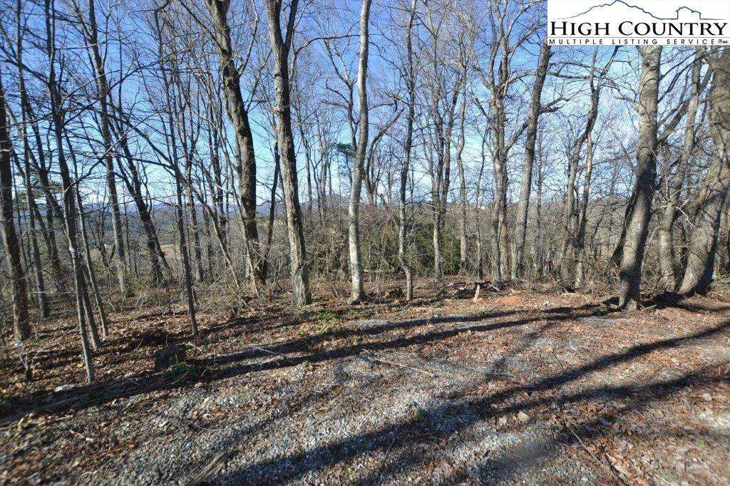 Image number 5 for the current listing