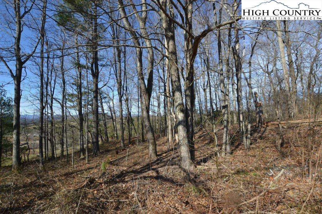 Image number 3 for the current listing