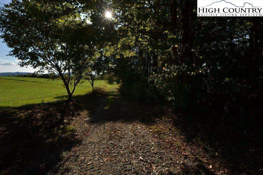 Image number 17 for the current listing
