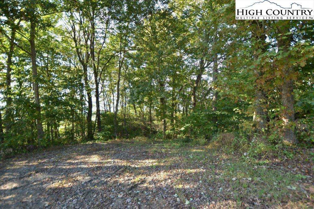 Image number 15 for the current listing