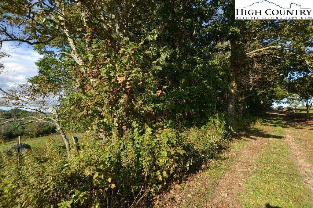 Image number 11 for the current listing