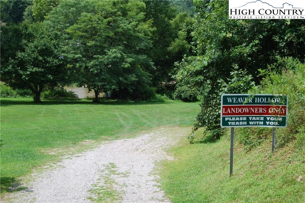 Image number 12 for the current listing