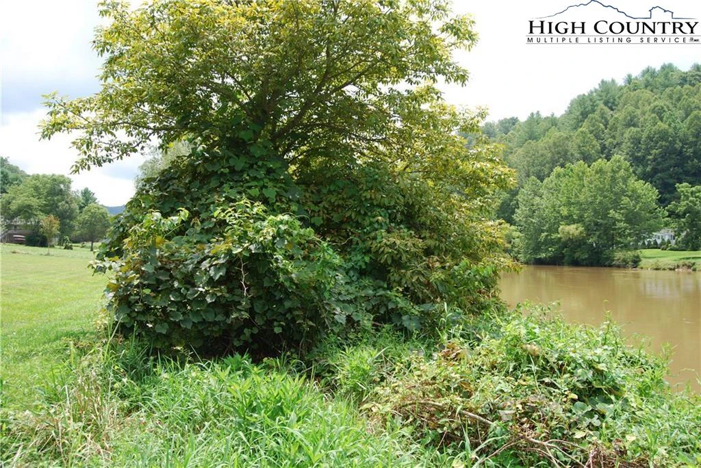 Image number 3 for the current listing
