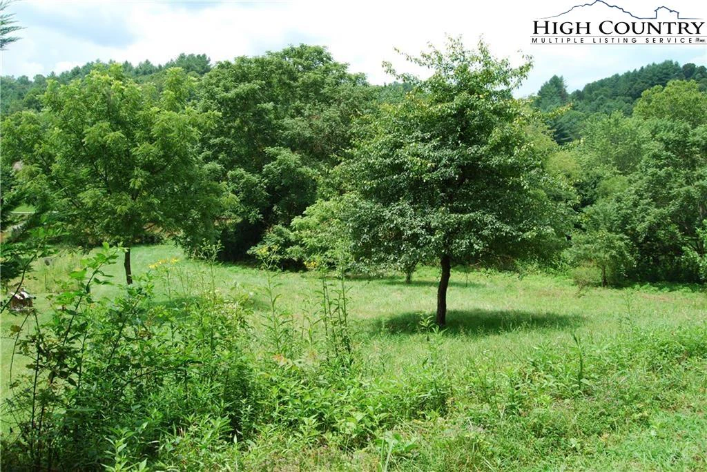 Image number 6 for the current listing