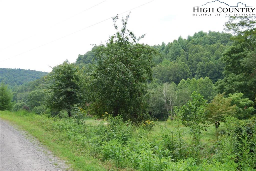 Image number 7 for the current listing
