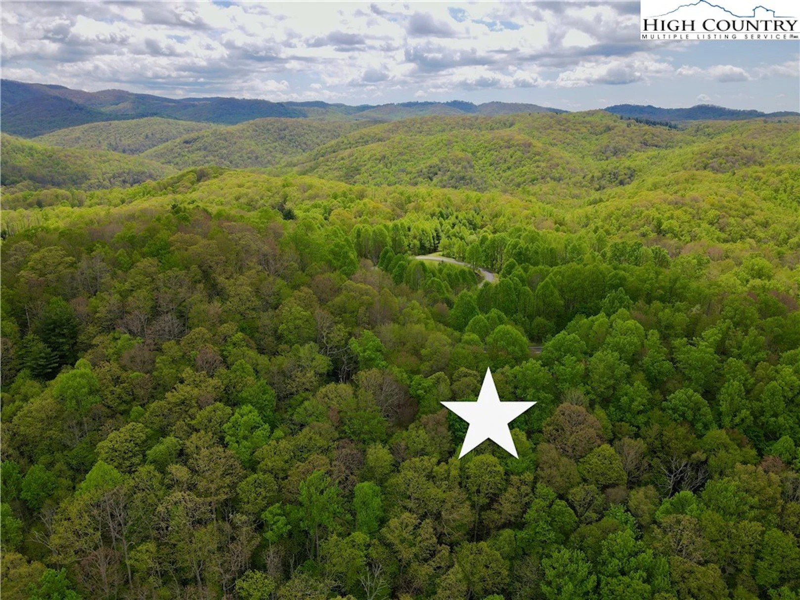 Image number 2 for the current listing