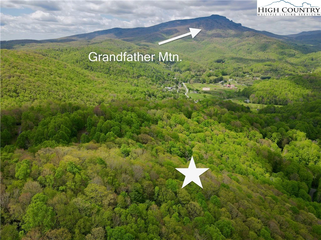 Image number 1 for the current listing