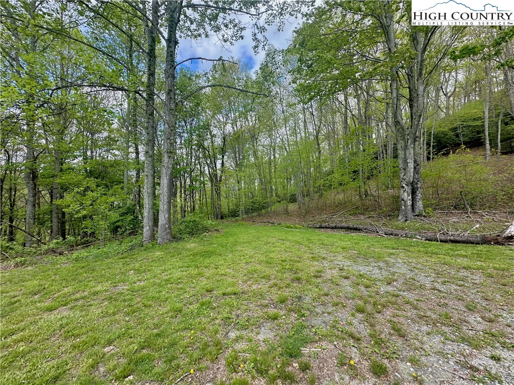 Image number 16 for the current listing