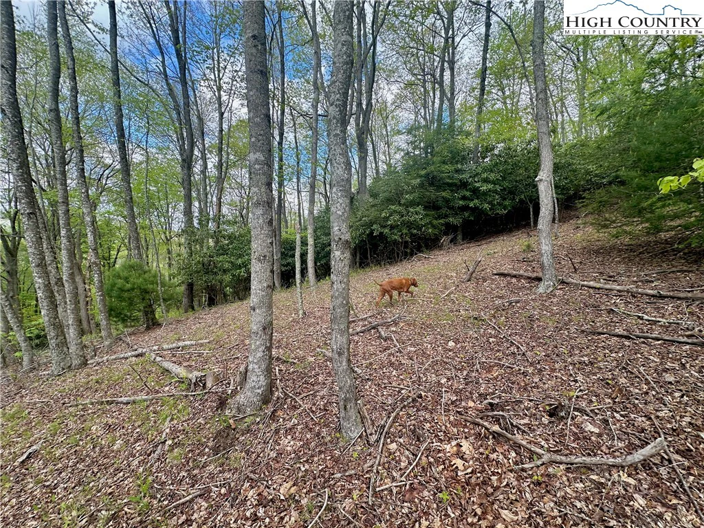 Image number 8 for the current listing