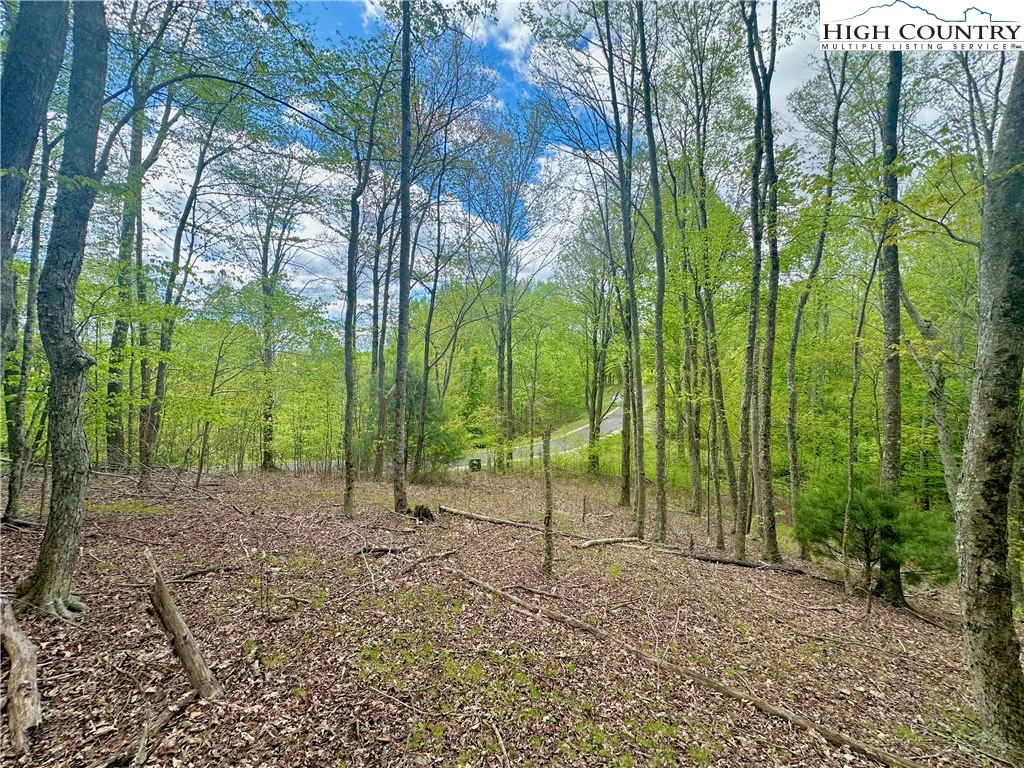 Image number 7 for the current listing