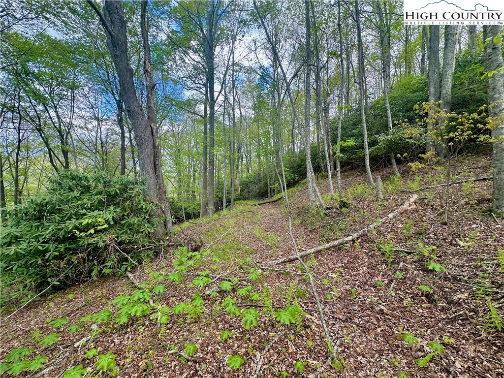 Image number 6 for the current listing