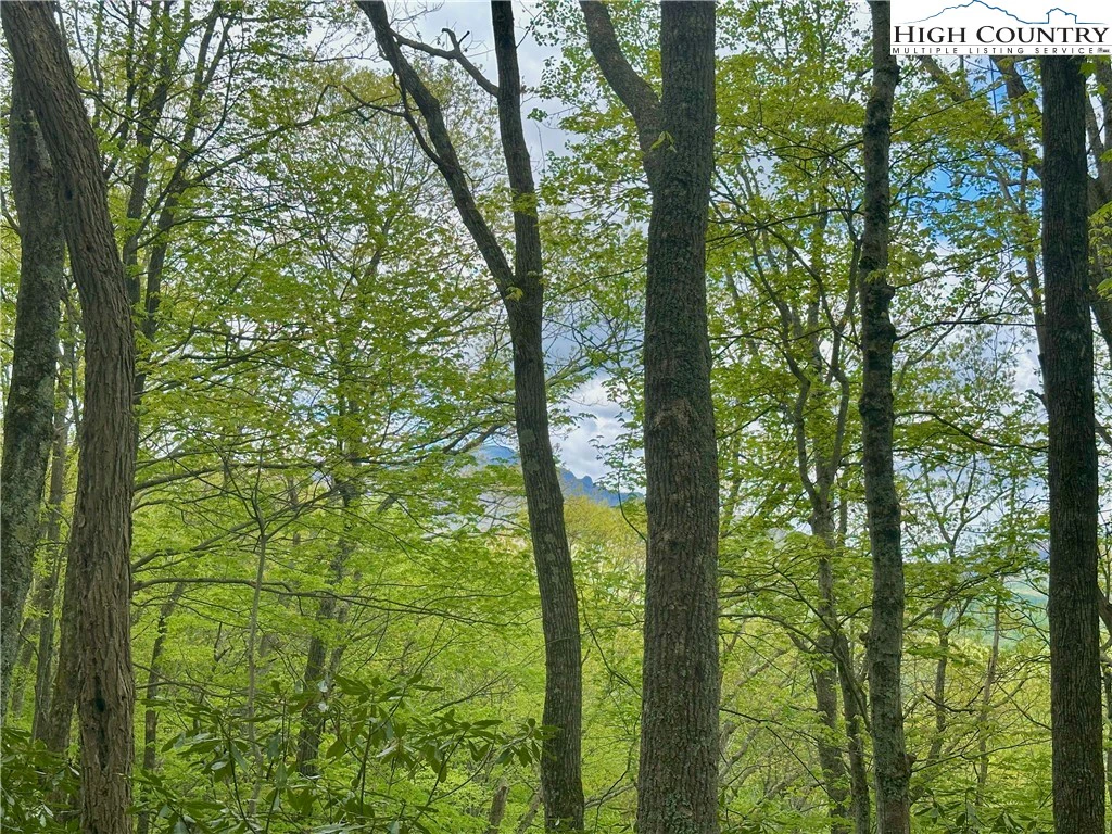 Image number 3 for the current listing