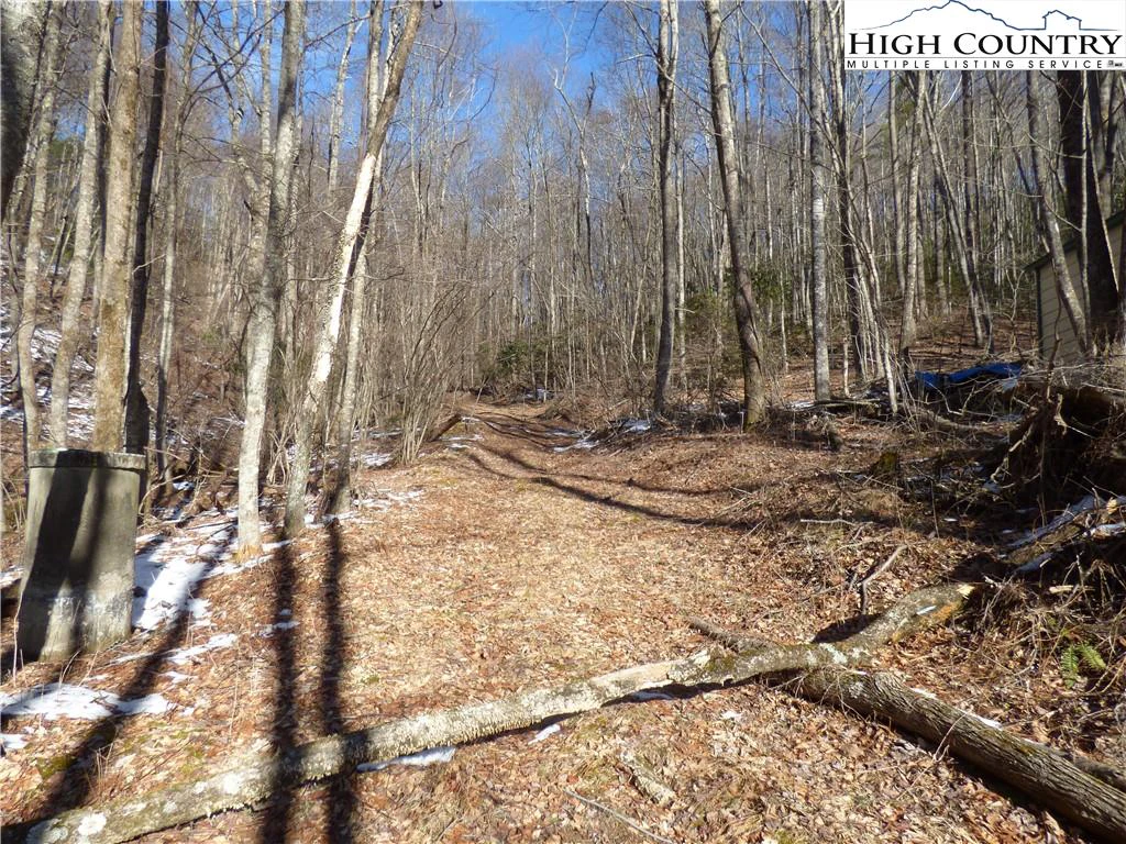 Image number 1 for the current listing