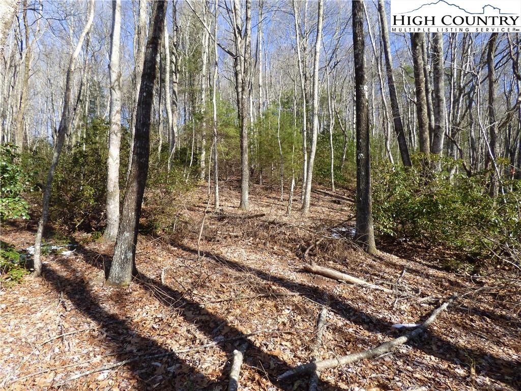 Image number 5 for the current listing